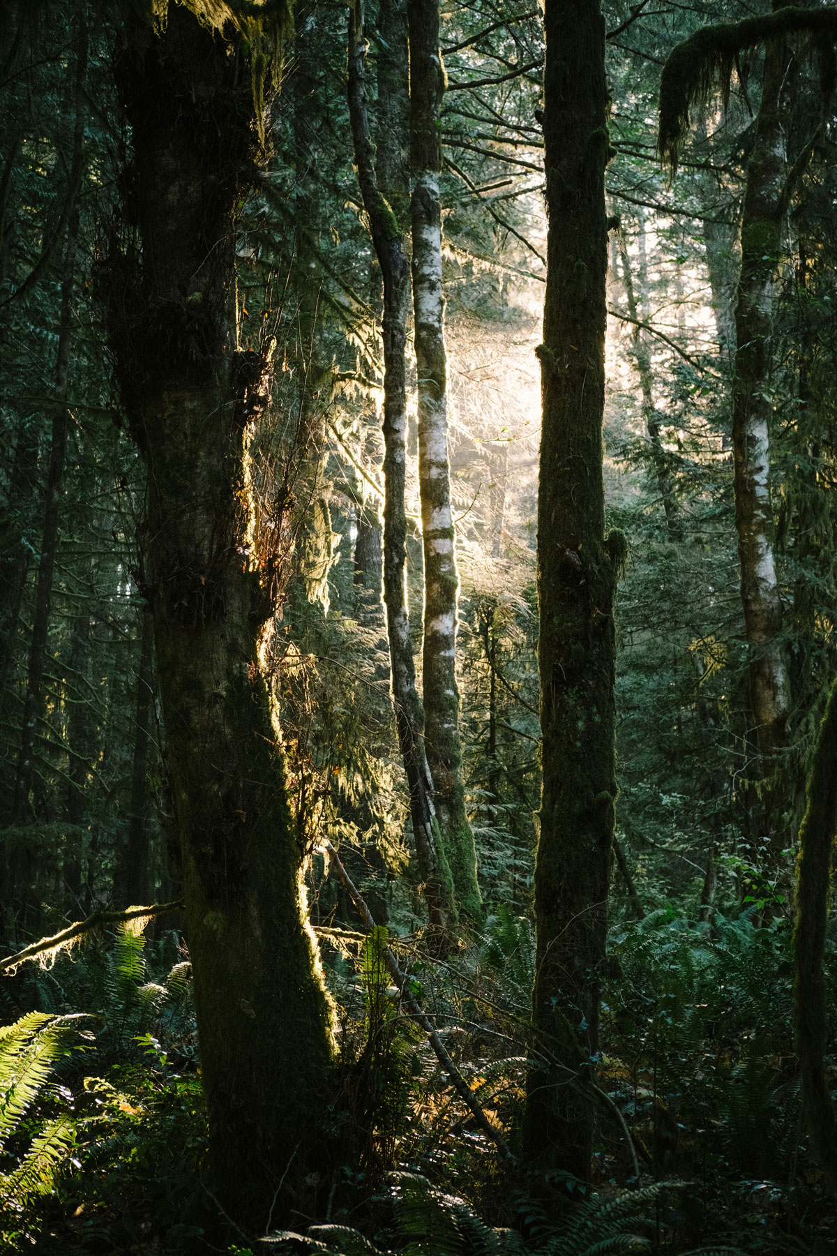 ecotourism-manitou-creek